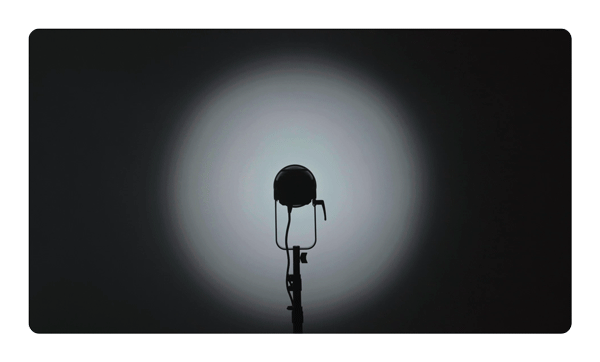 Aputure LS C300D II